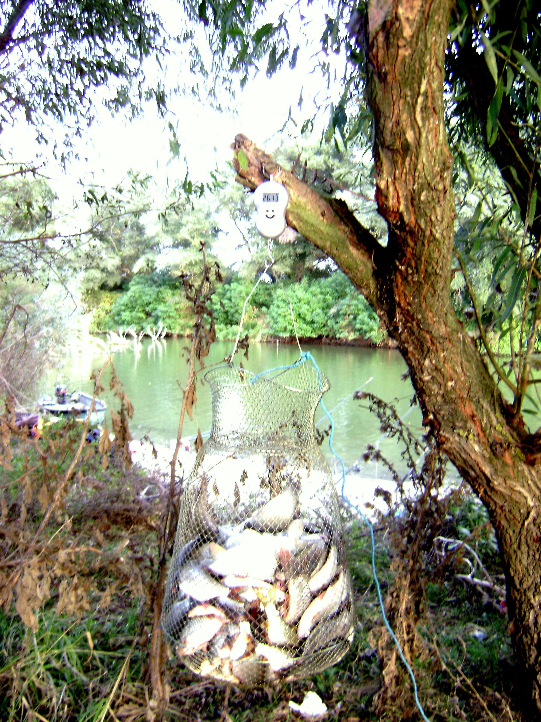 delta octombrie 2012 - delta octombrie 2012 052.JPG